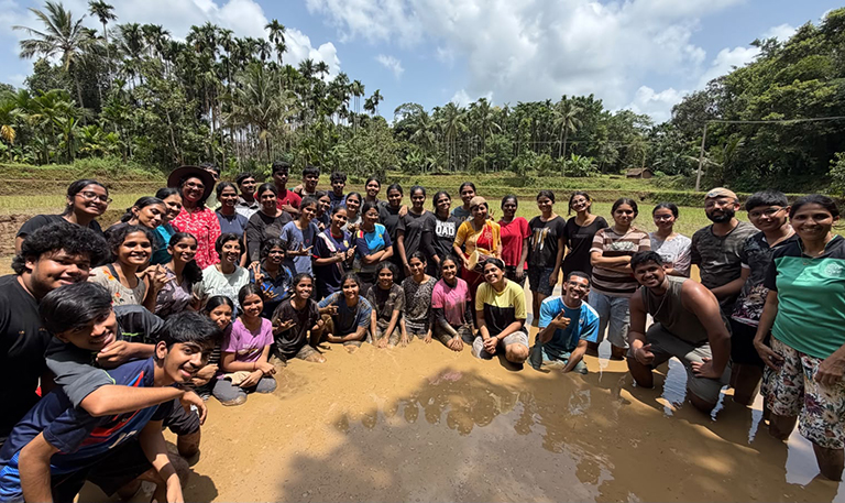 Paddy Transplantation